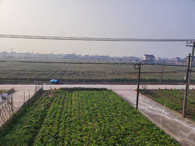 家门口的“田成方、渠相连”的千亩生态良田