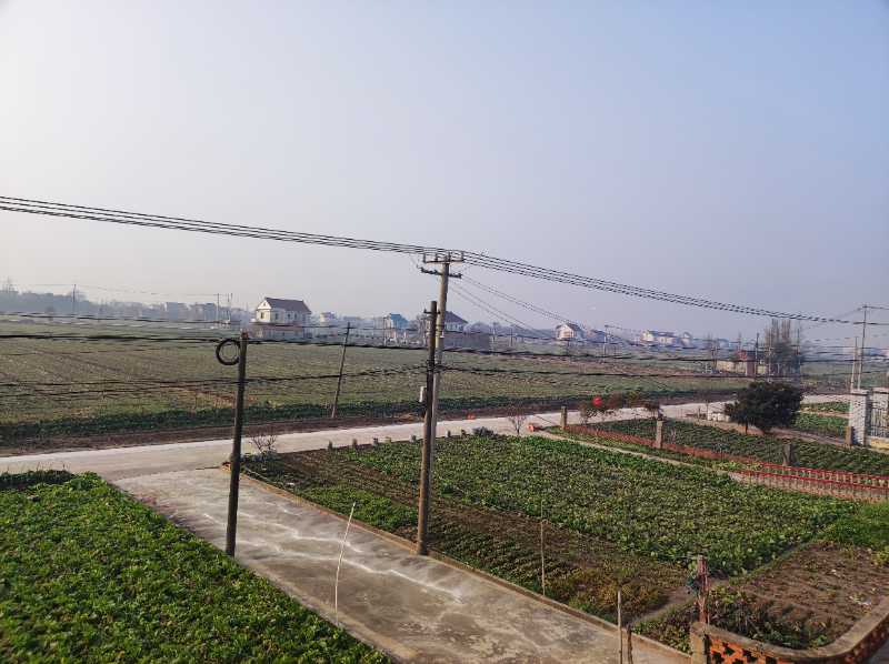 家门口的“田成方、渠相连”的千亩生态良田