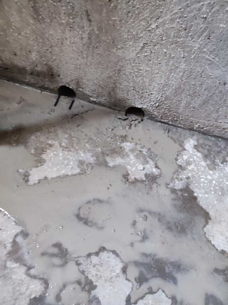 南通龙田花苑 2*-2001 施工照片