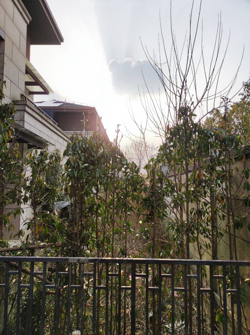 三八妇女节，阳光明媚，提前收工回去休息