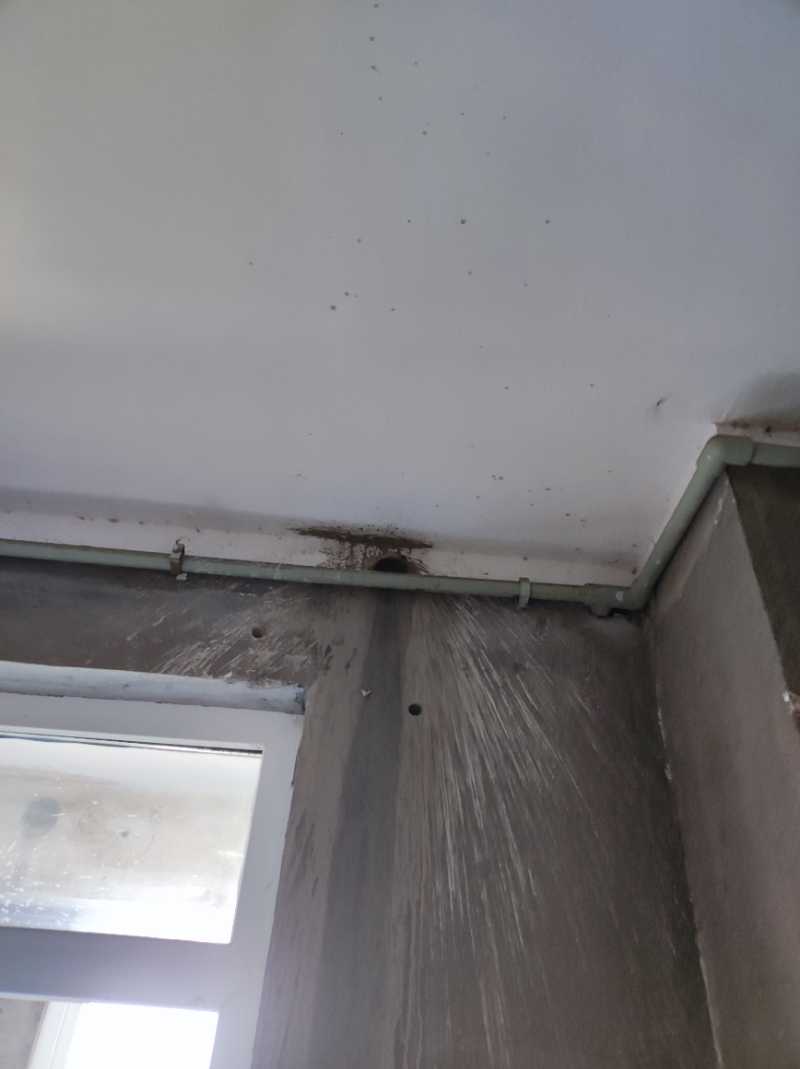 南通荟景苑 3*-301 施工照片