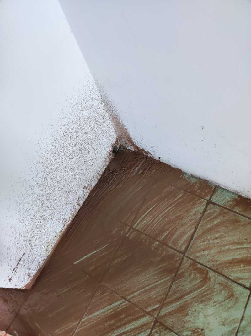 南通双楼村 民房 施工照片