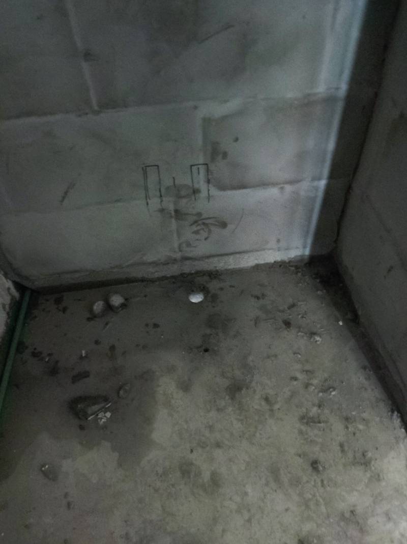 南通碧桂园云谷 *-201 施工照片