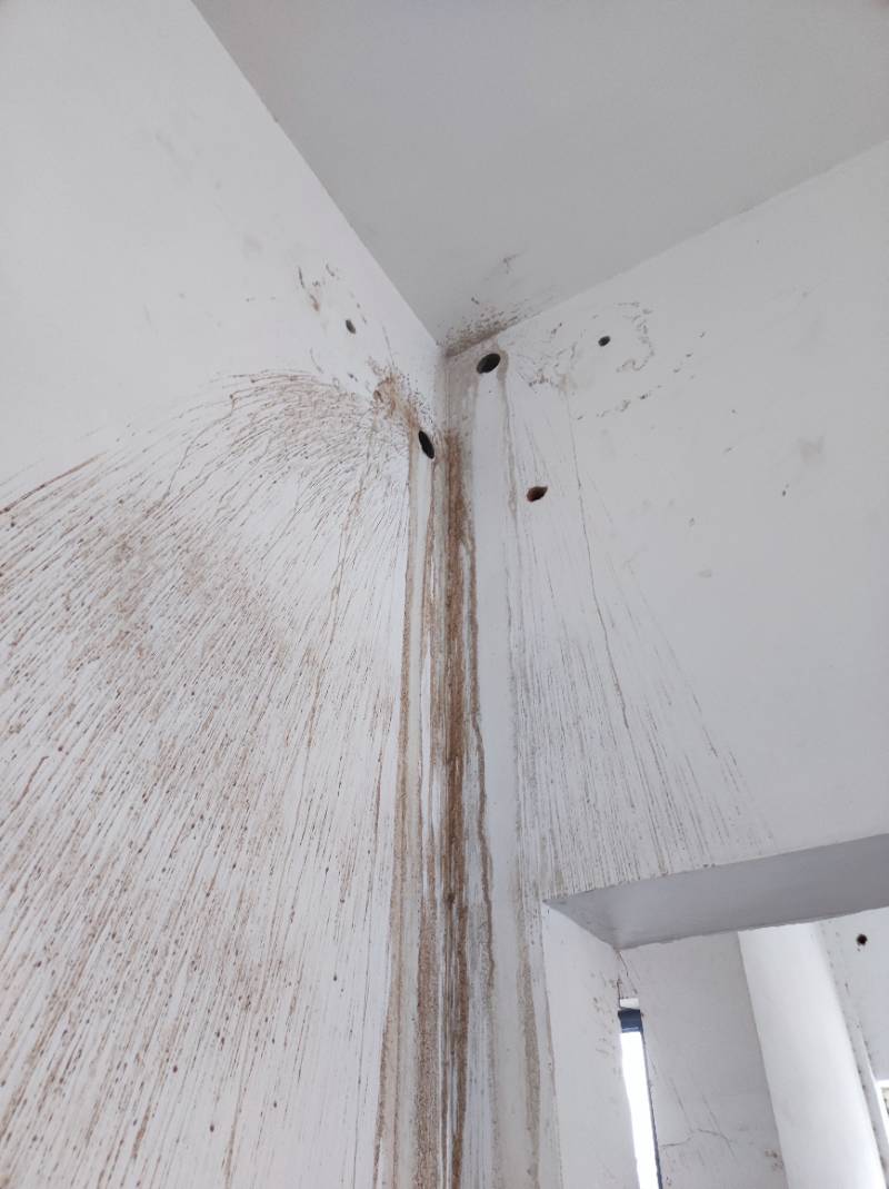 南通瑞翔新材料有限公司 传达室 施工照片