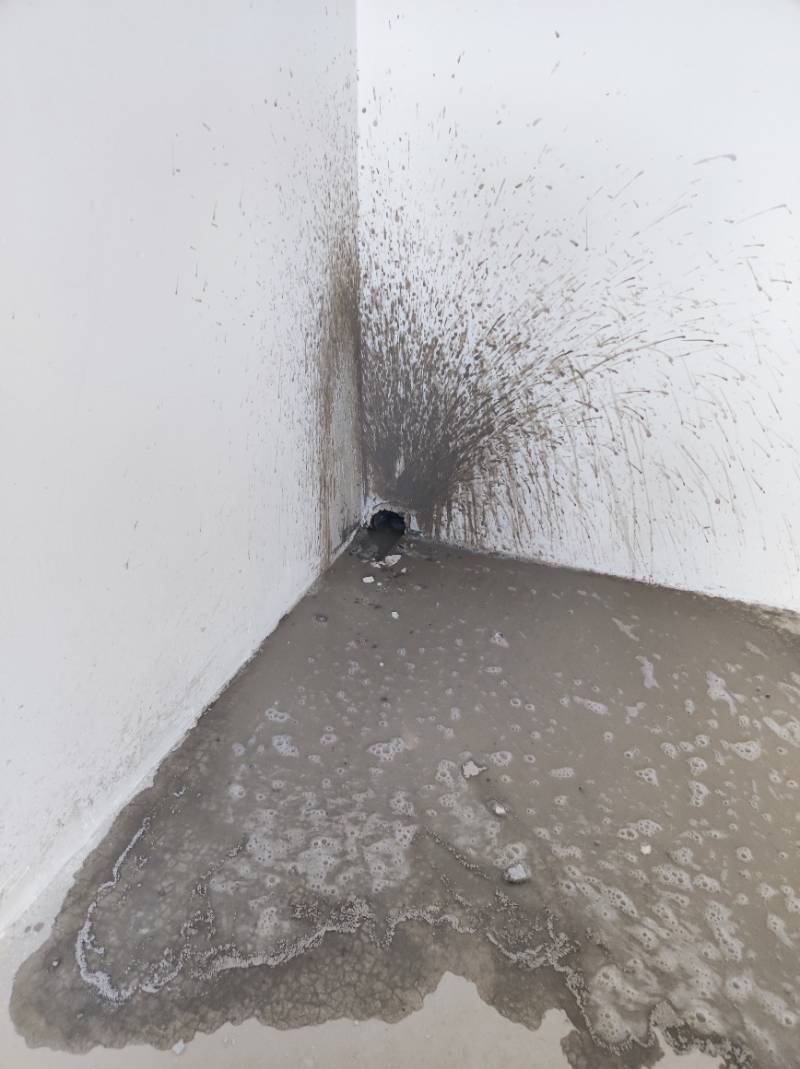 南通世纪之光 *-604 施工照片