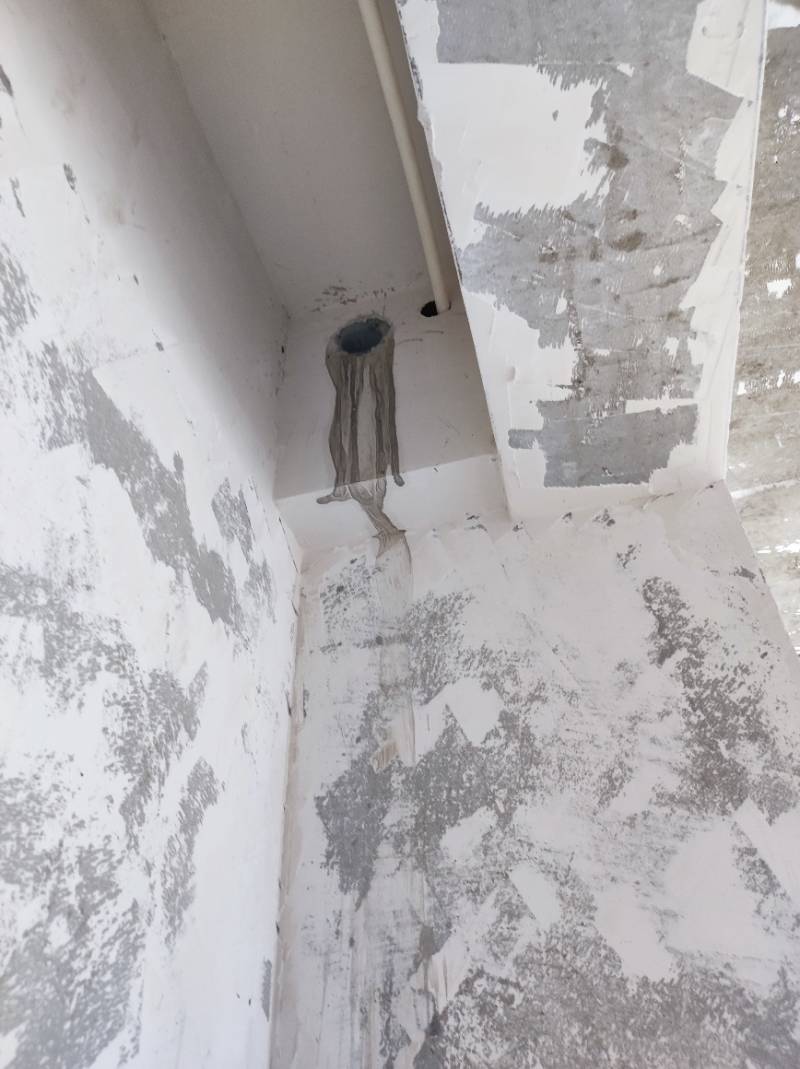 南通绿城绿兰公寓 1*-1202 施工照片