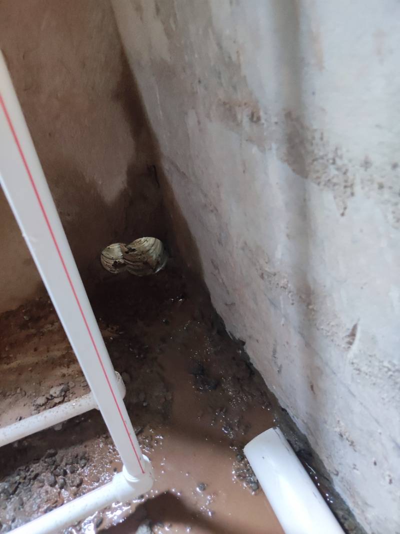 南通南园路19号大院 @ 5-205