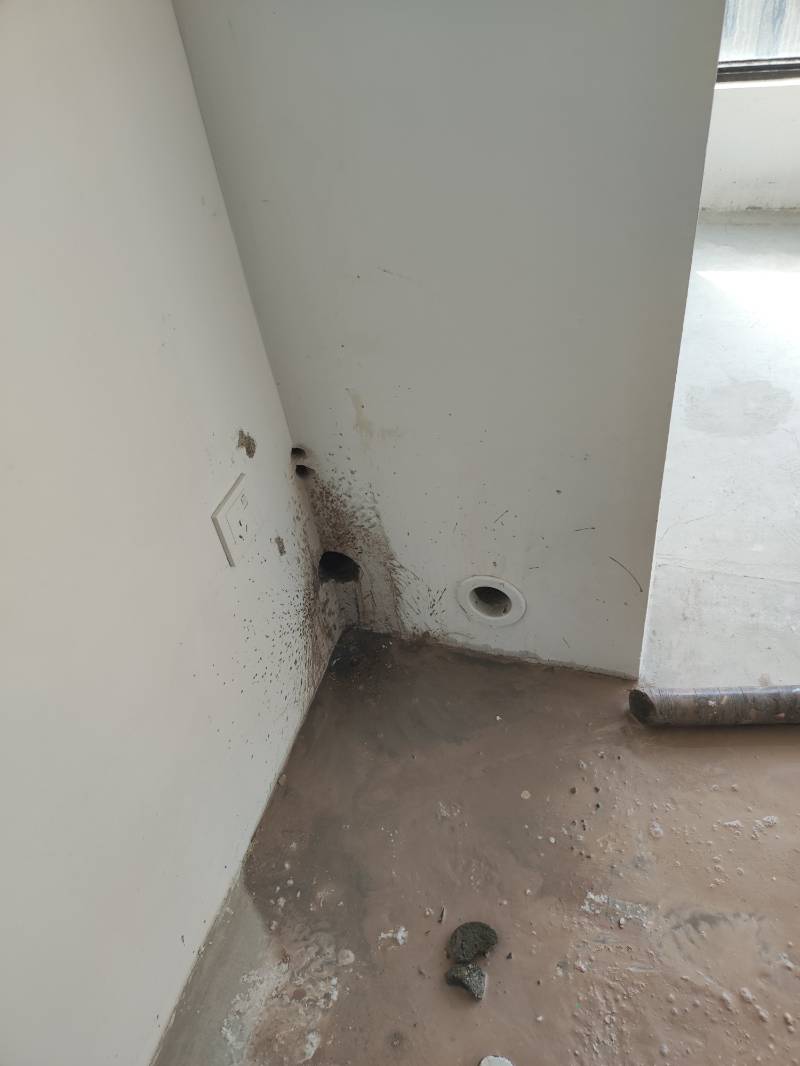 南通龙禧苑 2*-1004 施工照片