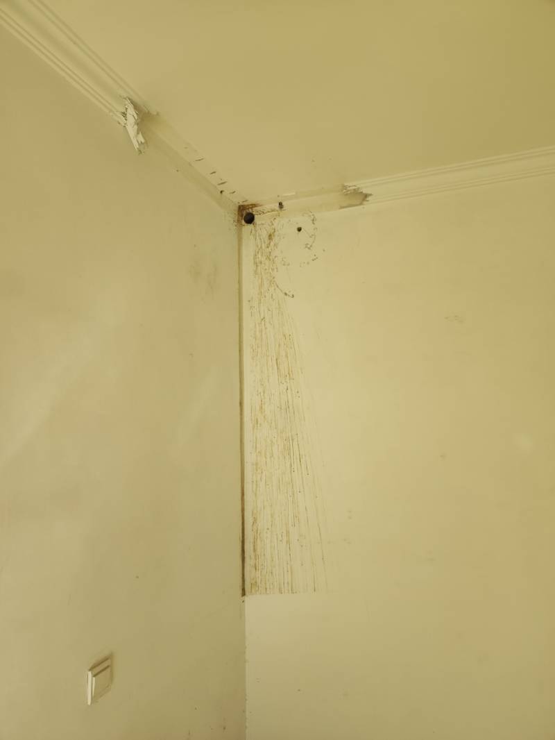 南通南川园 10*-303 施工照片