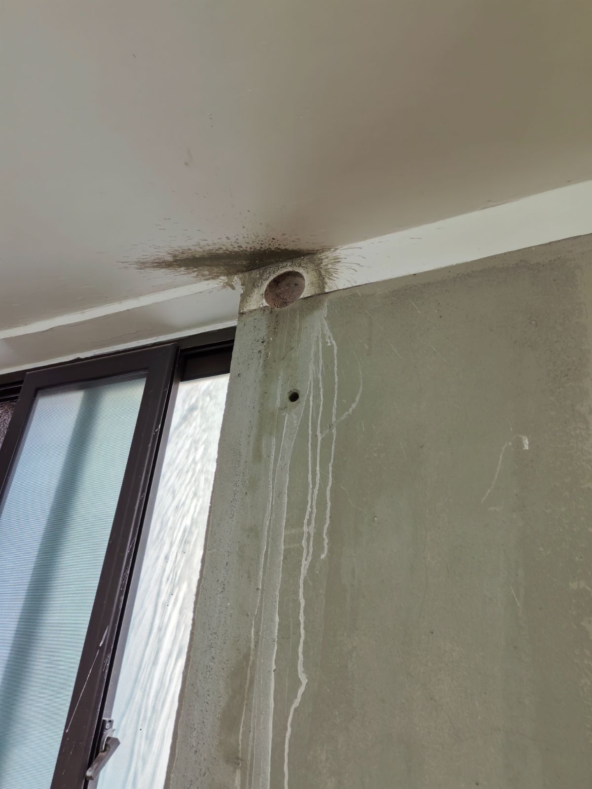 南通世伦佳苑 *-202 施工照片