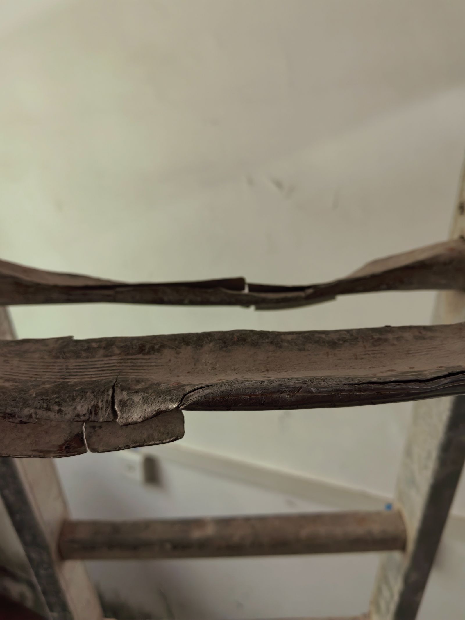 明天开始装备上新梯子