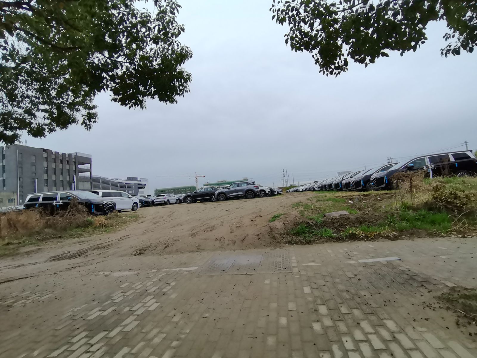 开发区空地变比亚迪车展现场