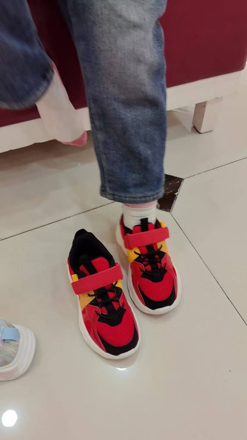 今日份的暖心陪伴
