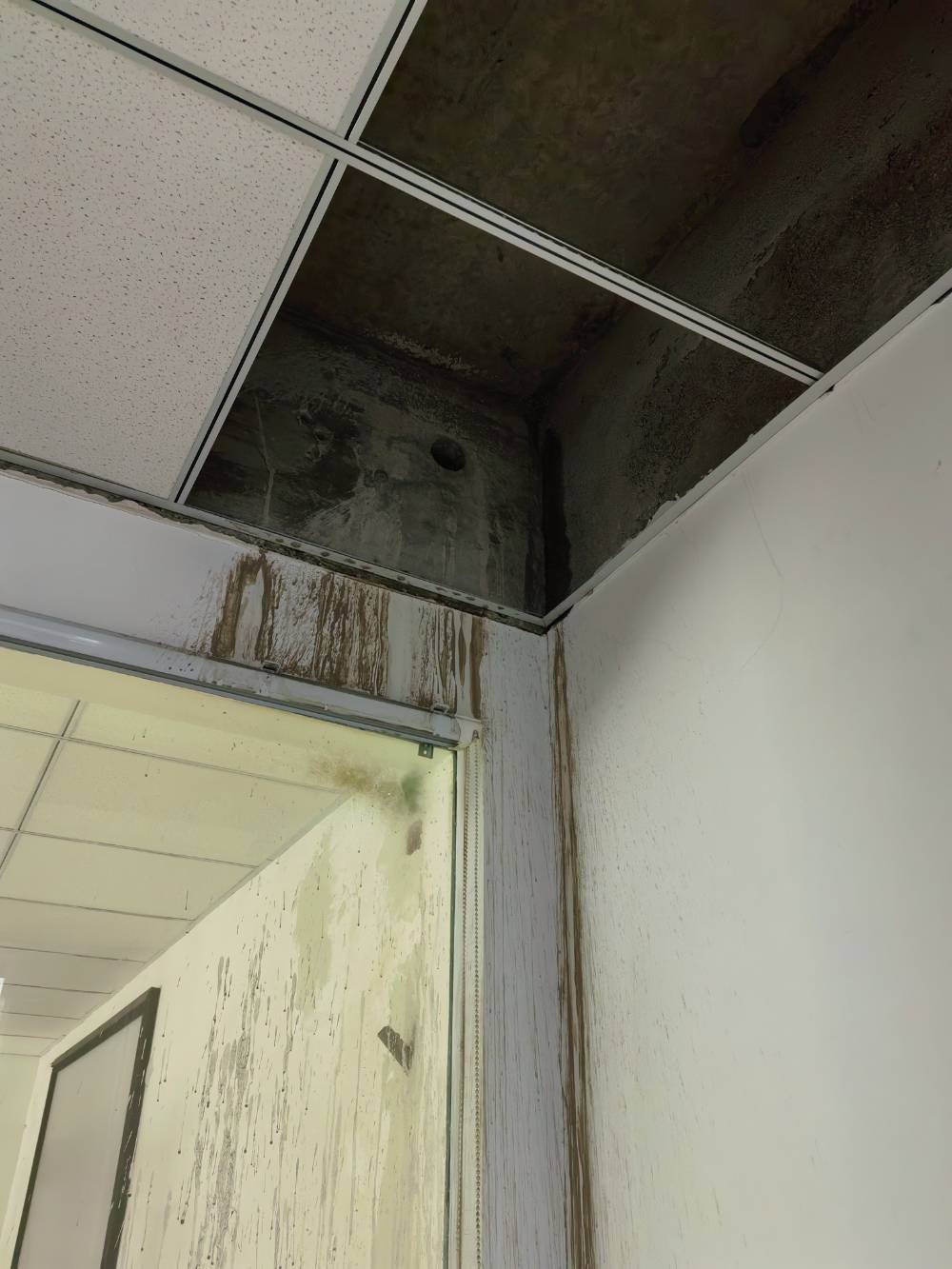 南通鑫乾国际广场 50*-504 施工照片