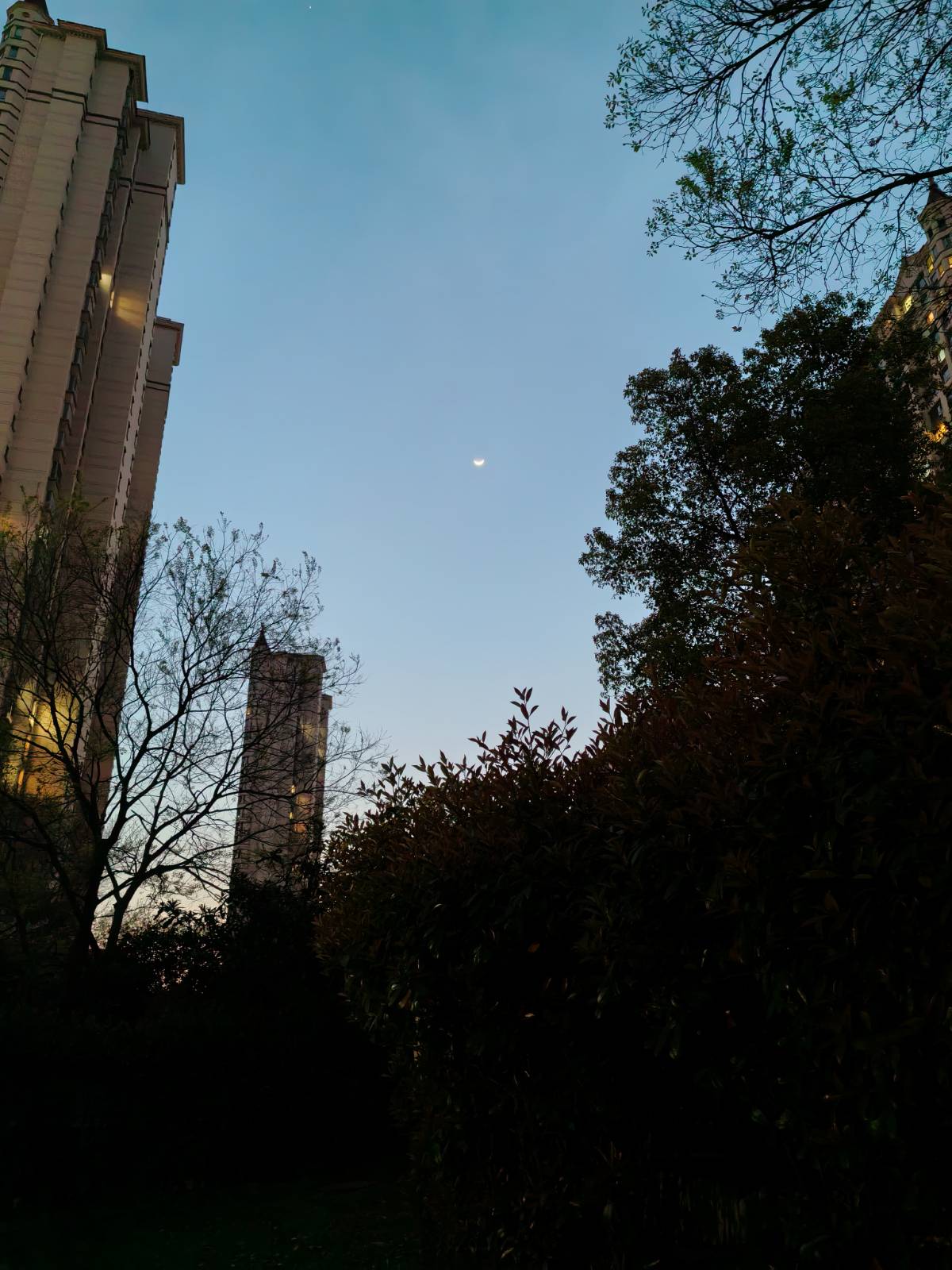 夜幕降临，弯月爬山天空