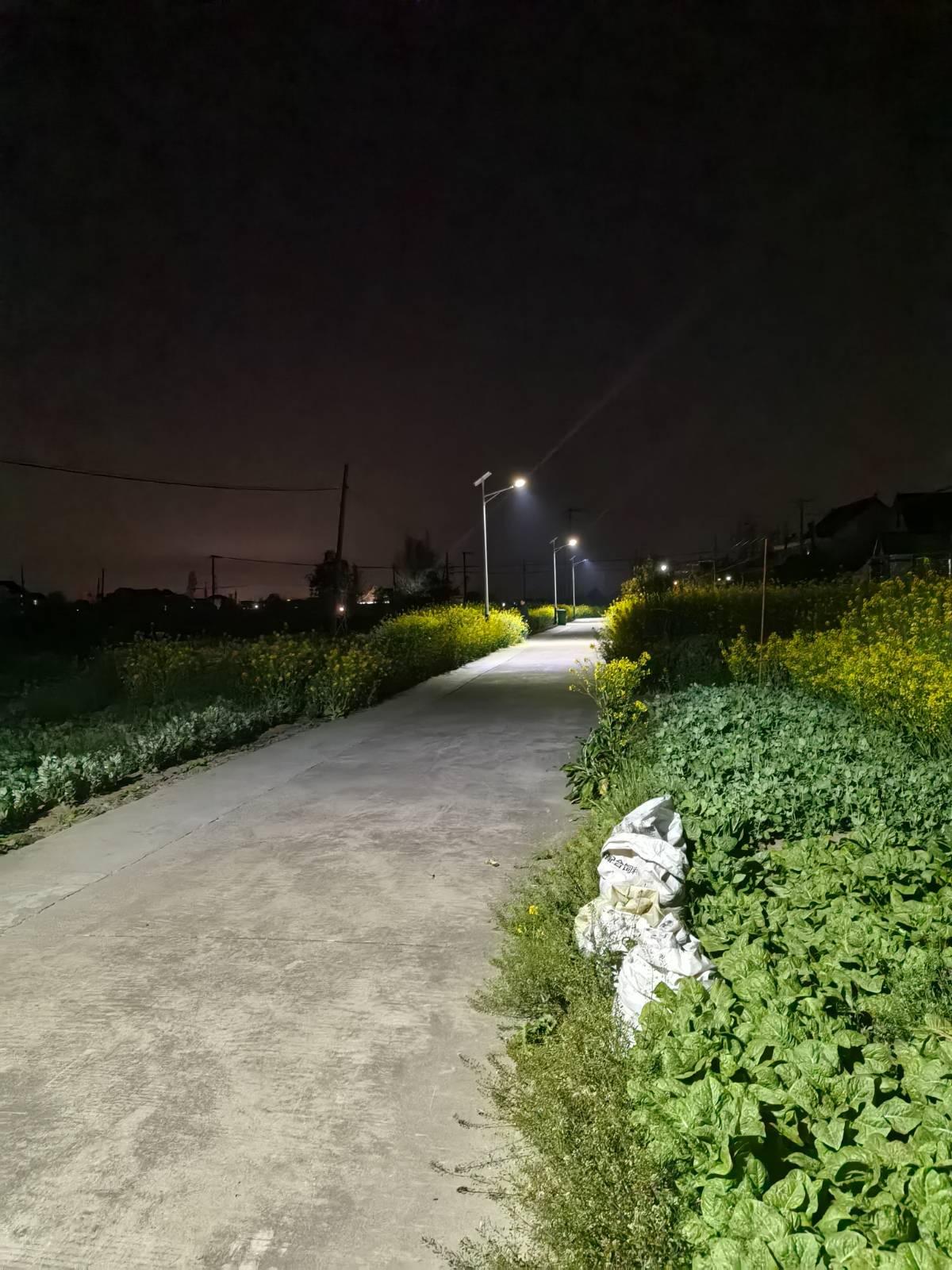 路灯串起小路,照亮老家的夜