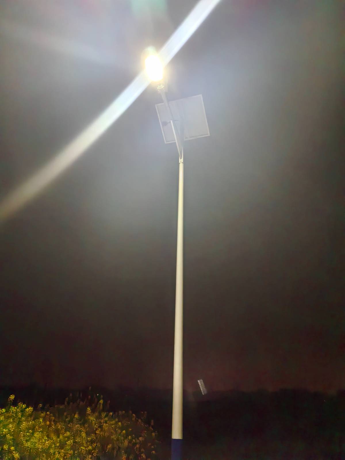 路灯串起小路，照亮老家的夜