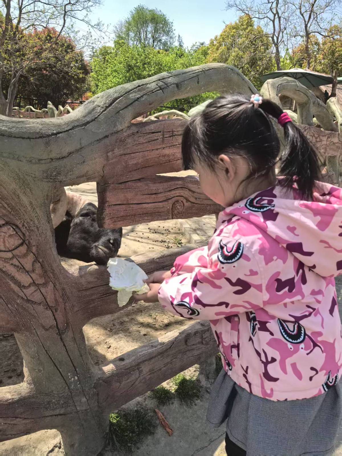 南通野生动物园的奇妙周末之旅