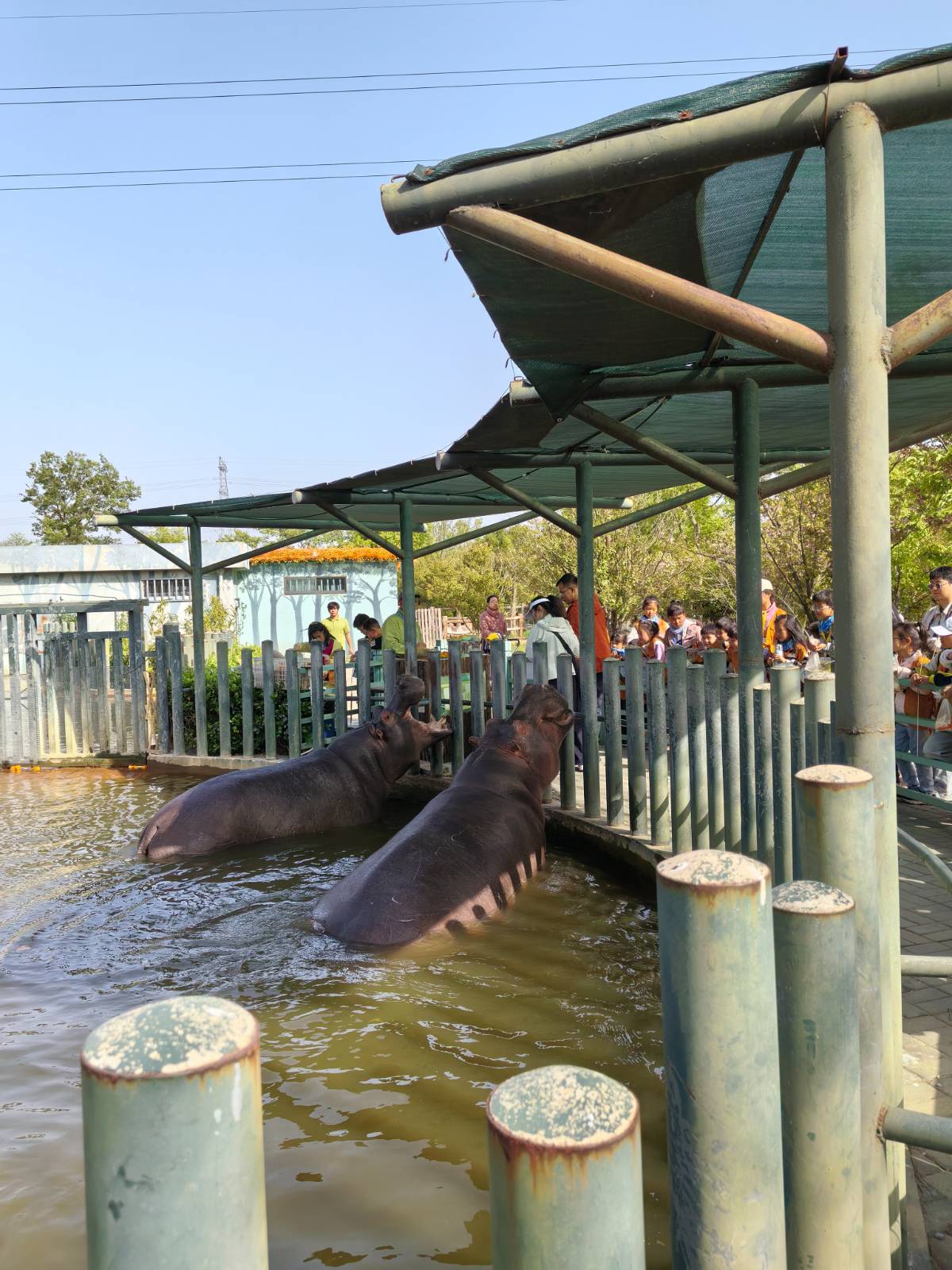 南通野生动物园的奇妙周末之旅