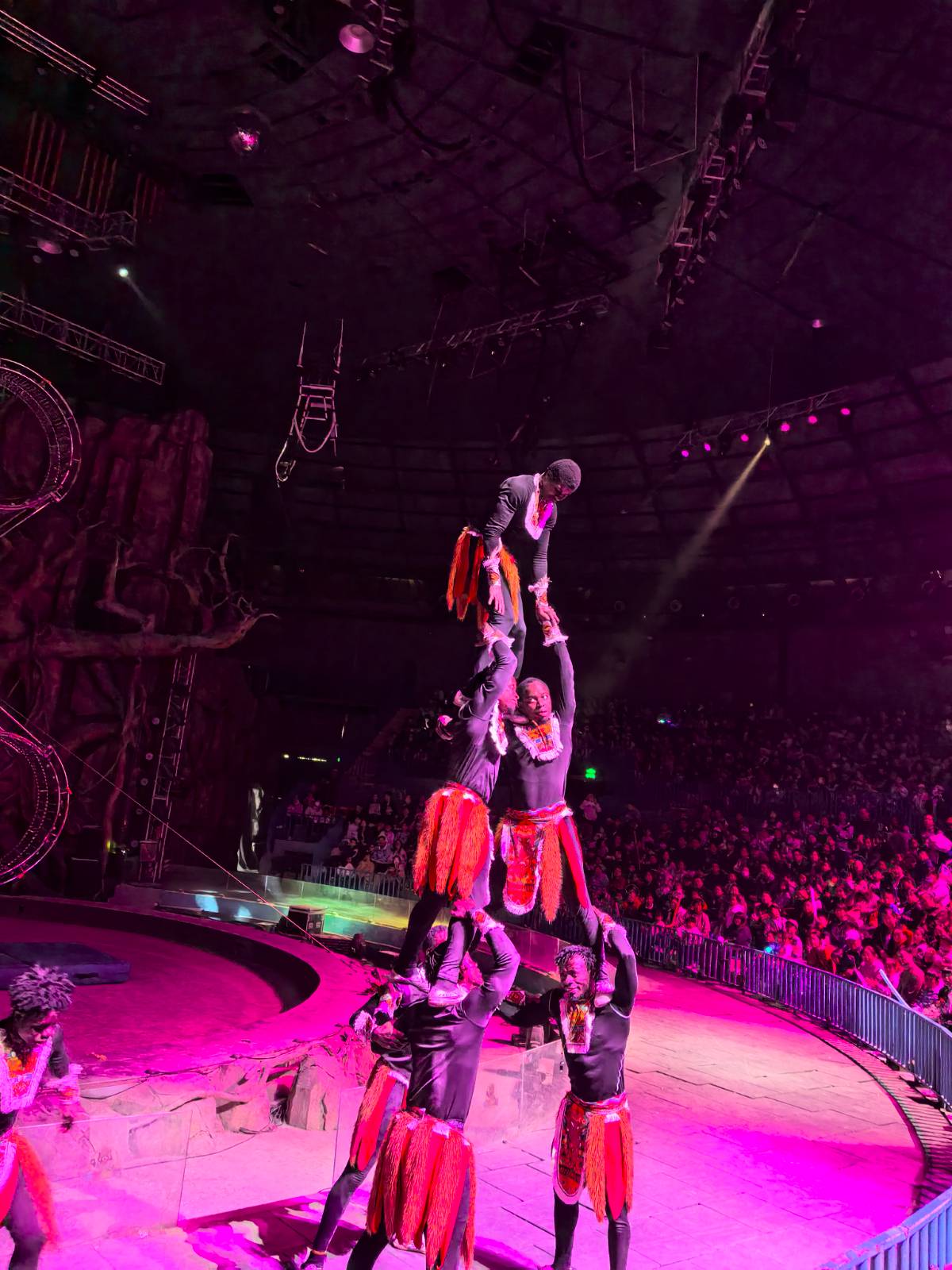 南通野生动物园的奇妙周末之旅