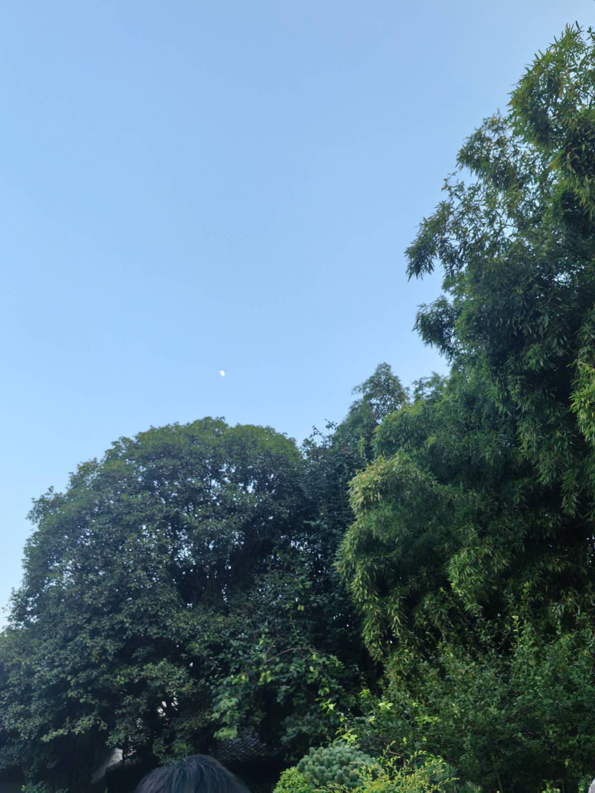 南京二日游之瞻园