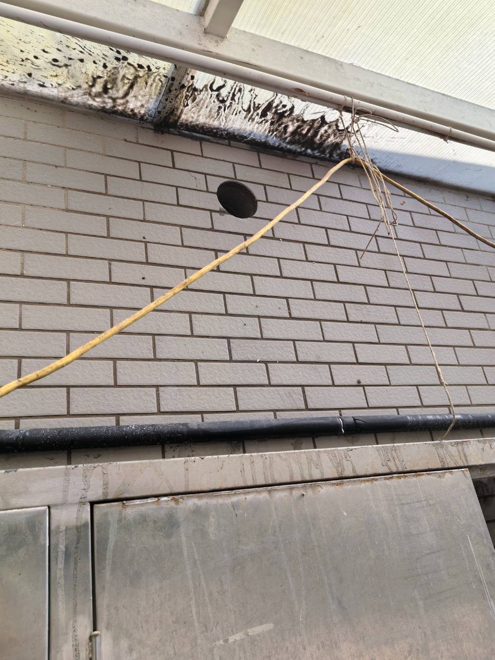 南通华联鲸选 @ 新港店面