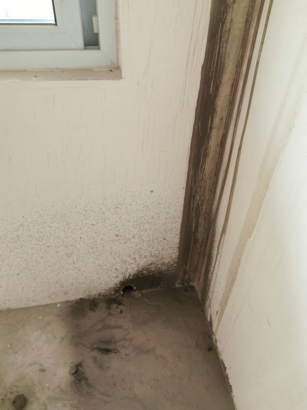 南通龙禧苑 1*-1302 施工照片