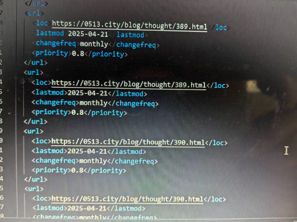 优化程序检查隐藏的BUG