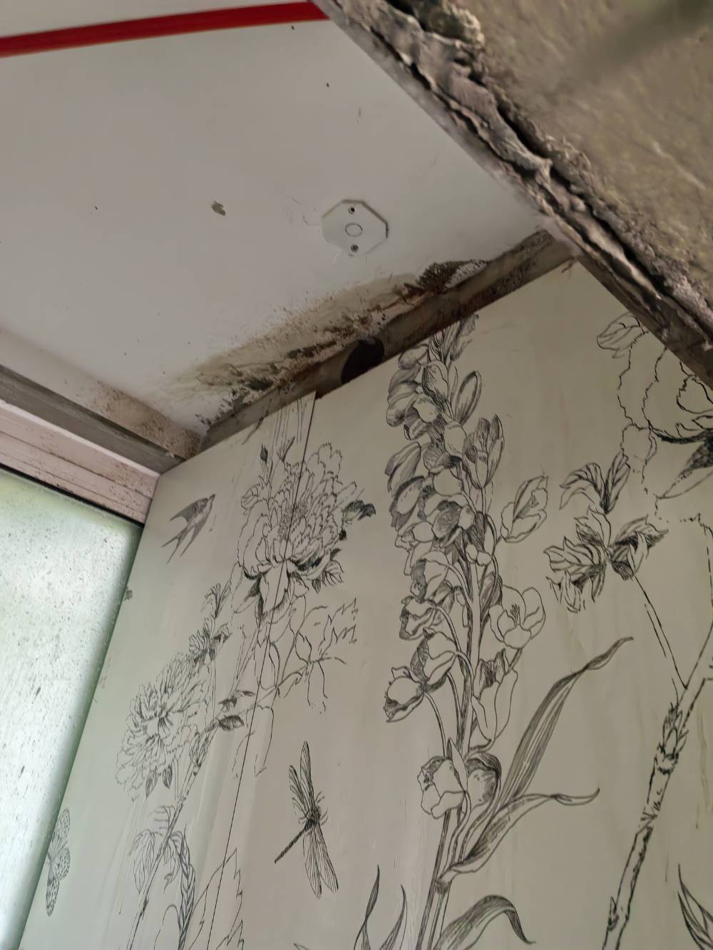 南通湖滨华庭 1*-403 施工照片