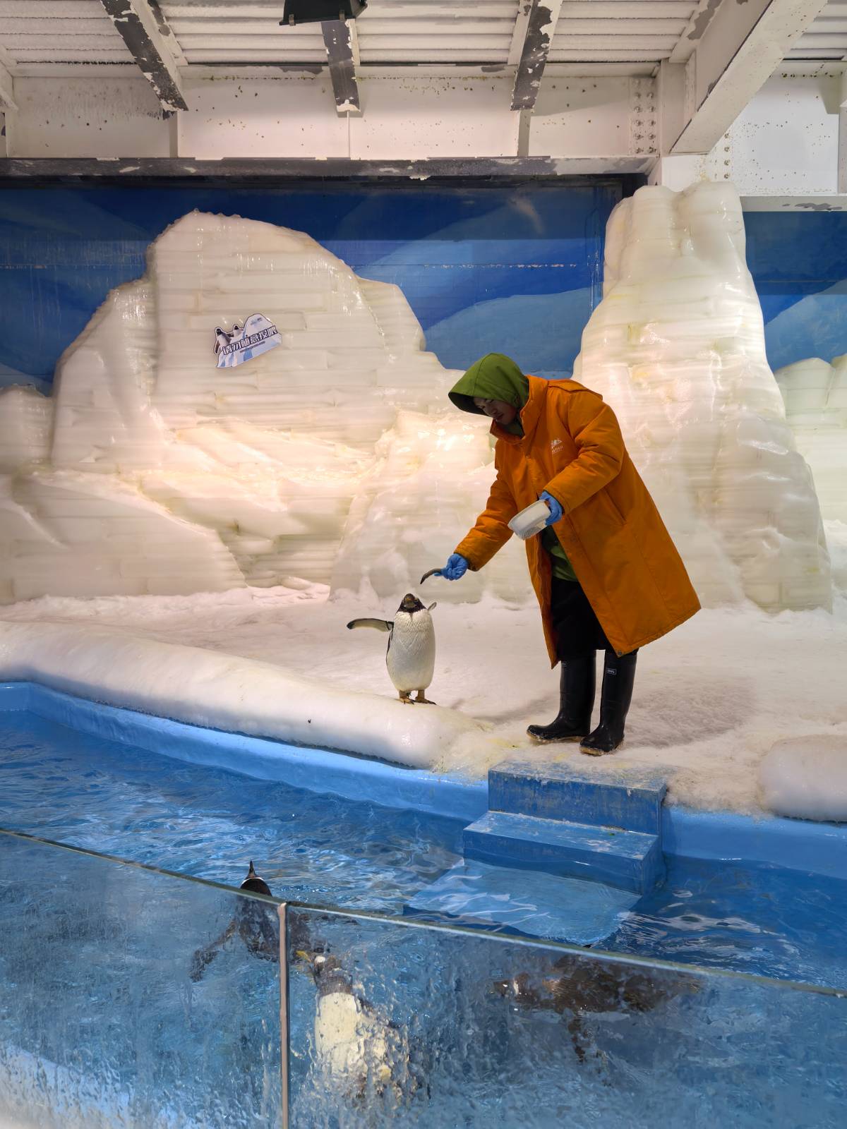 带俩娃玩南通森迪海洋冰雪乐园:开学前的最后一疯
