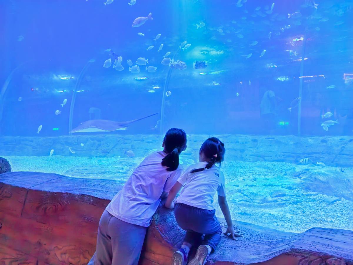 带俩娃玩南通森迪海洋冰雪乐园:开学前的最后一疯