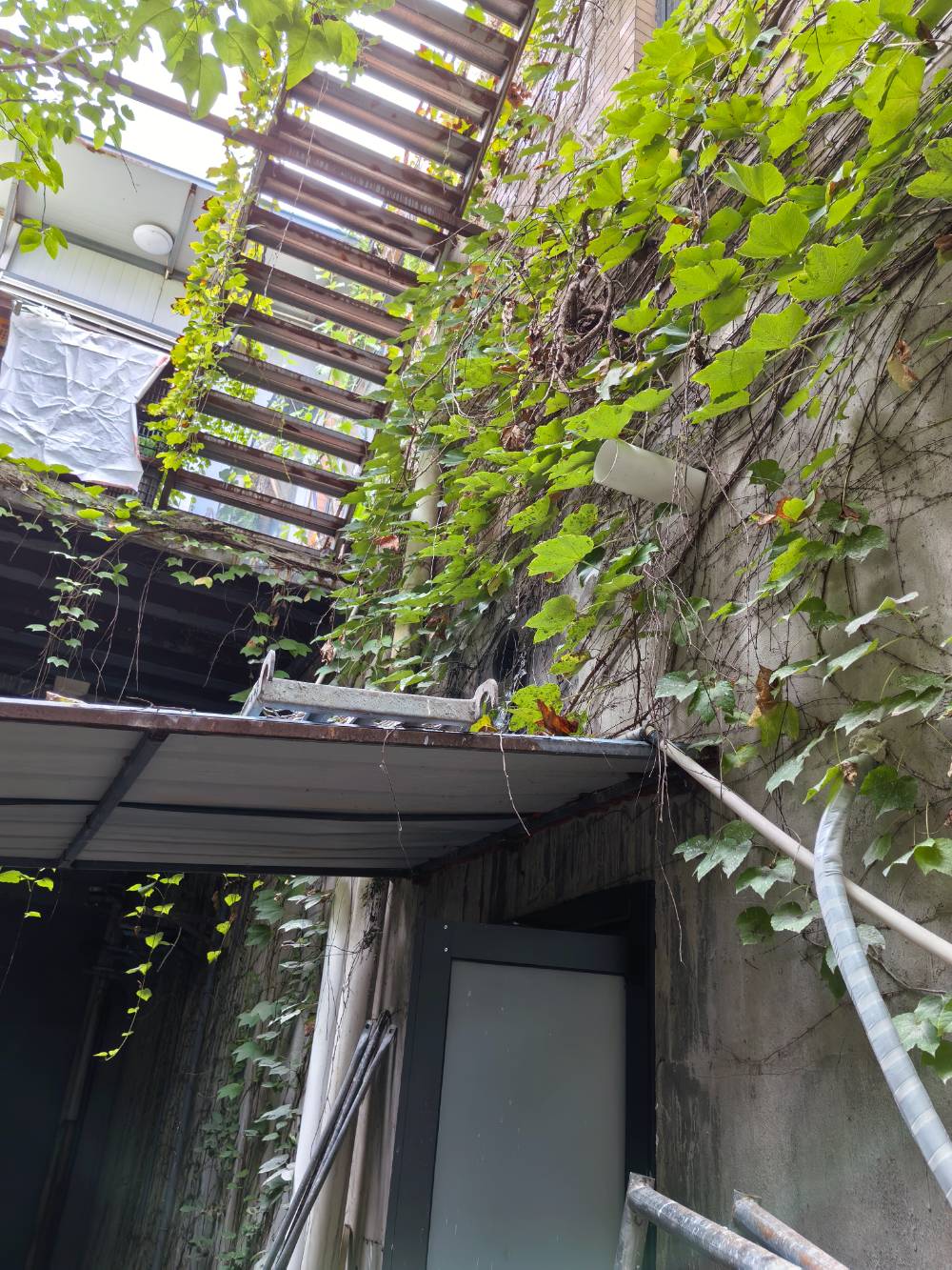 南通段家坝 爱迪电动车 施工照片