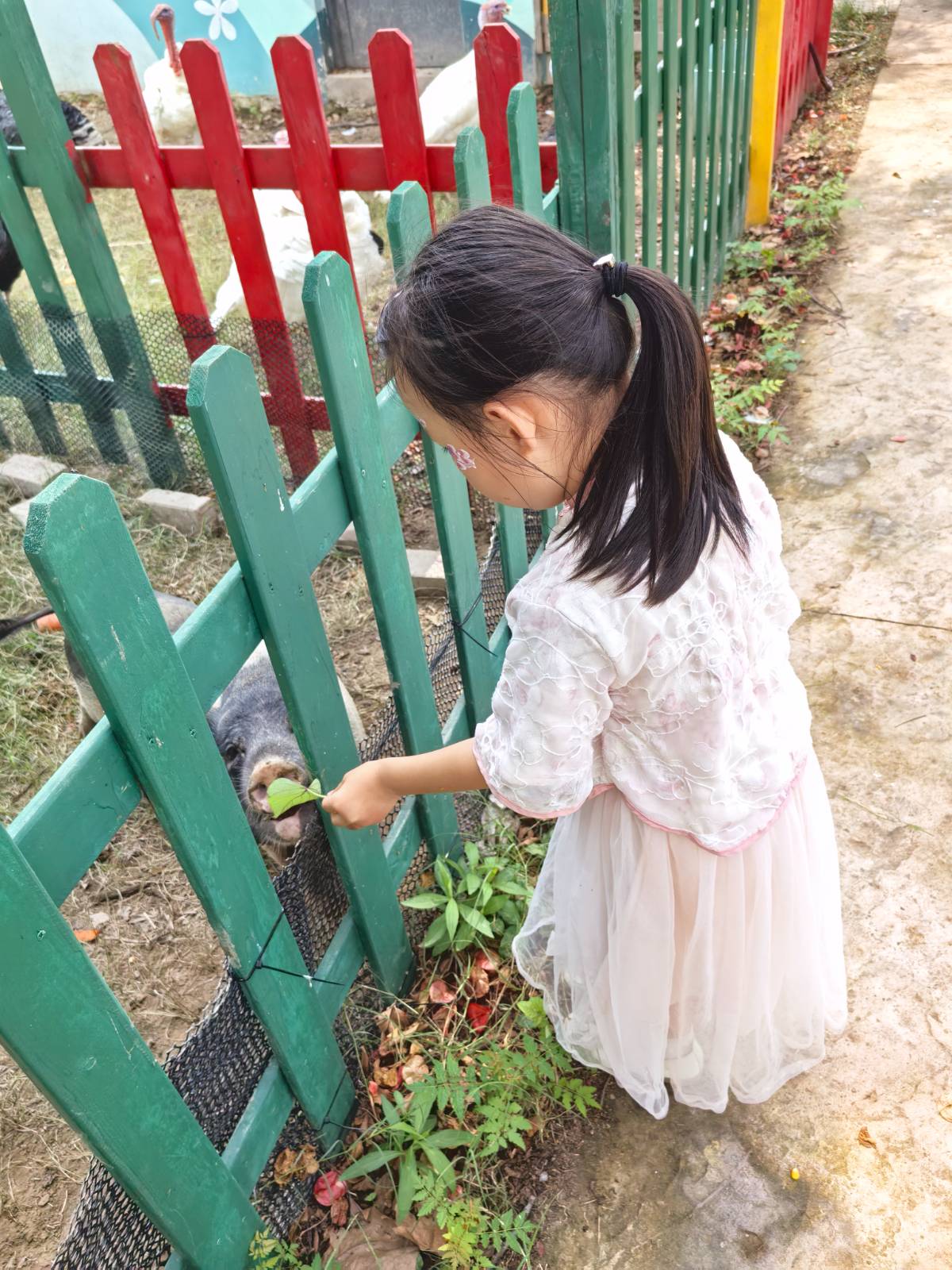 奇妙农场西游季：姐妹花的游戏与游乐狂欢全记录