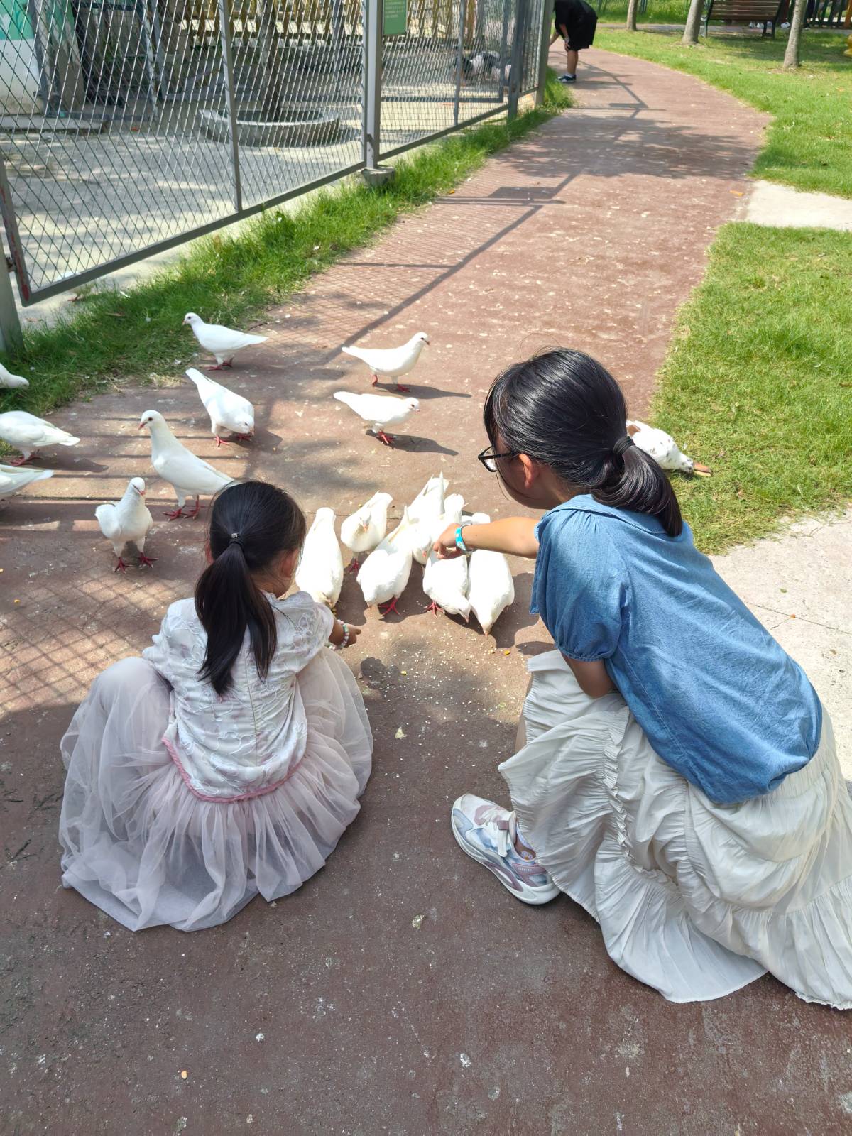 奇妙农场西游季：姐妹花的游戏与游乐狂欢全记录