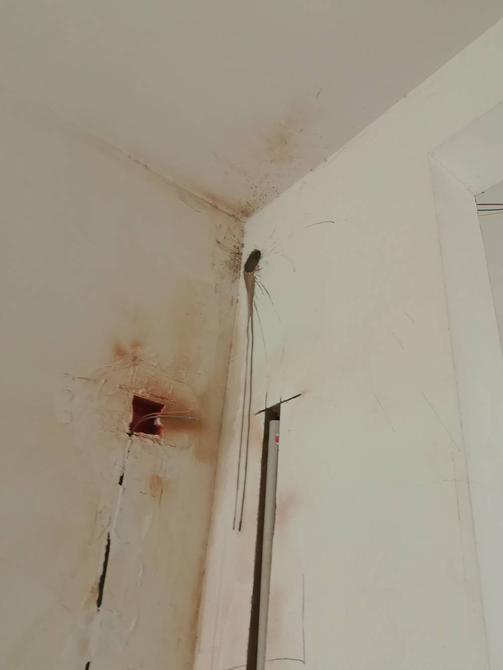 南通苏建花园城 1*-403 施工照片