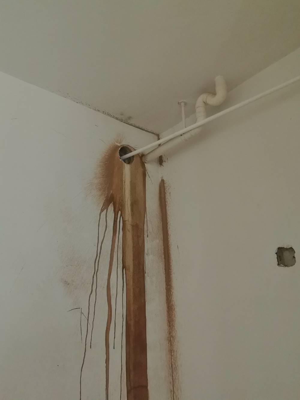 南通苏建花园城 1*-403 施工照片