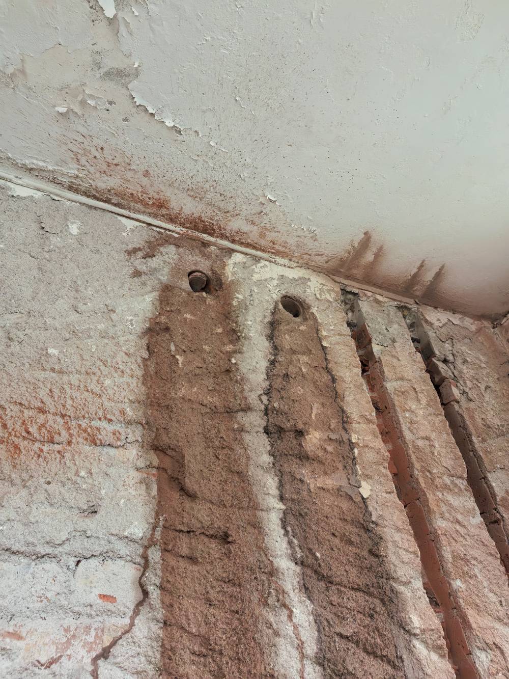 光明东村 @ 7-202