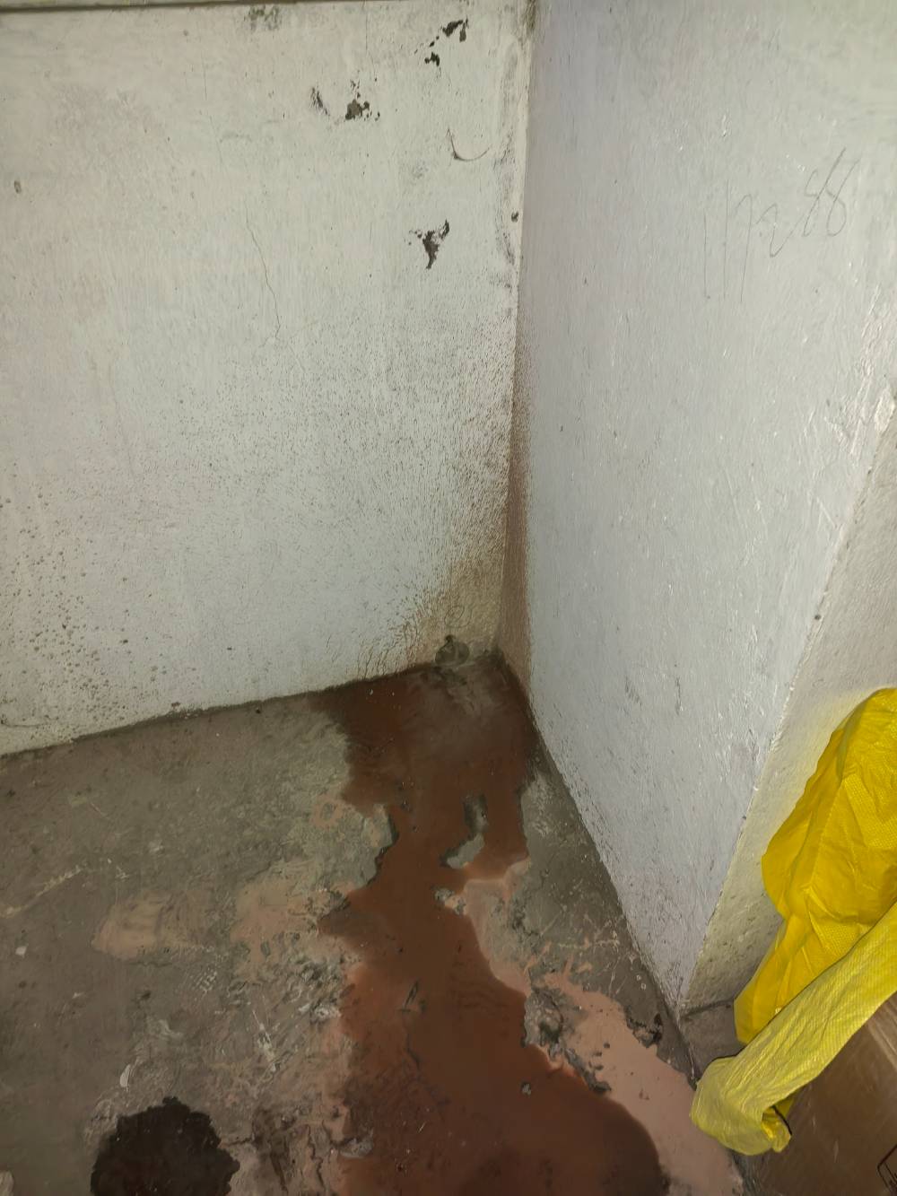 滨河东城 1*-201 施工照片