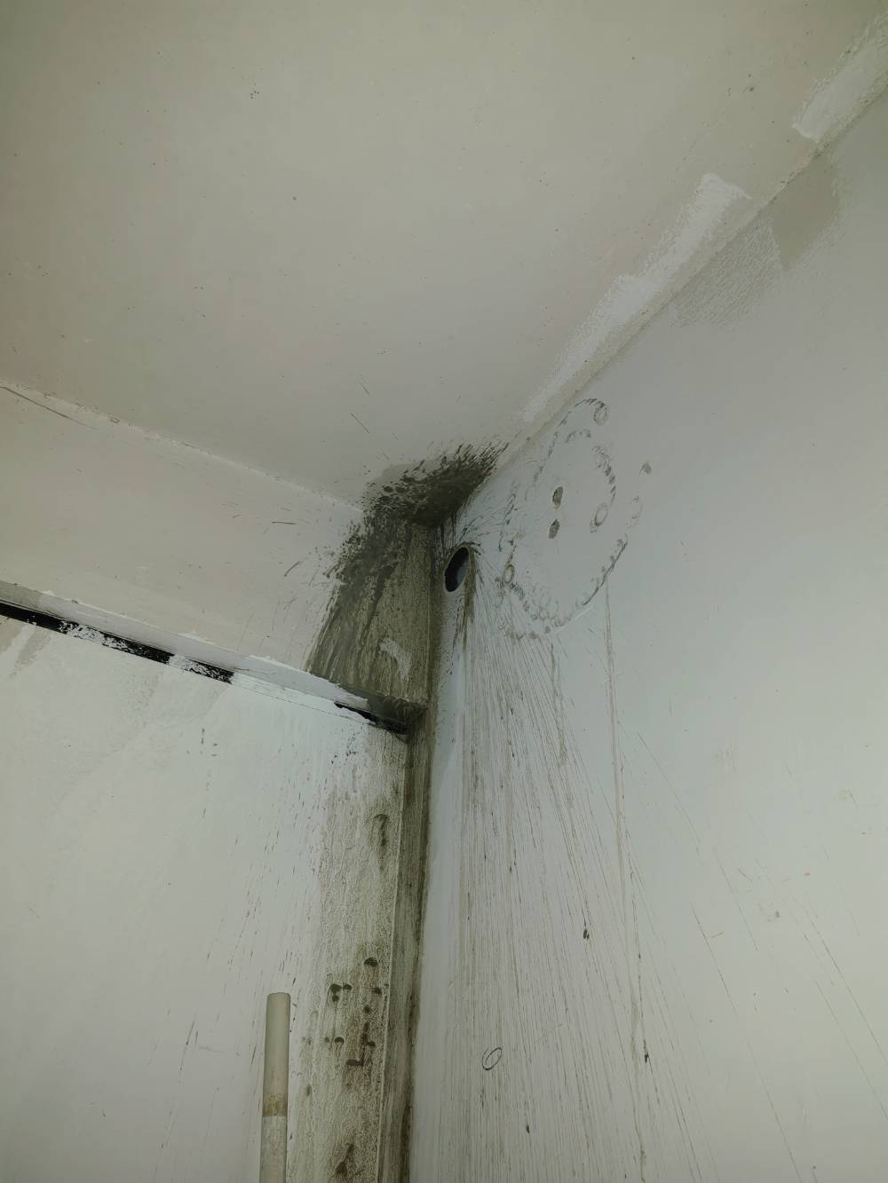 滨河东城 1*-201 施工照片