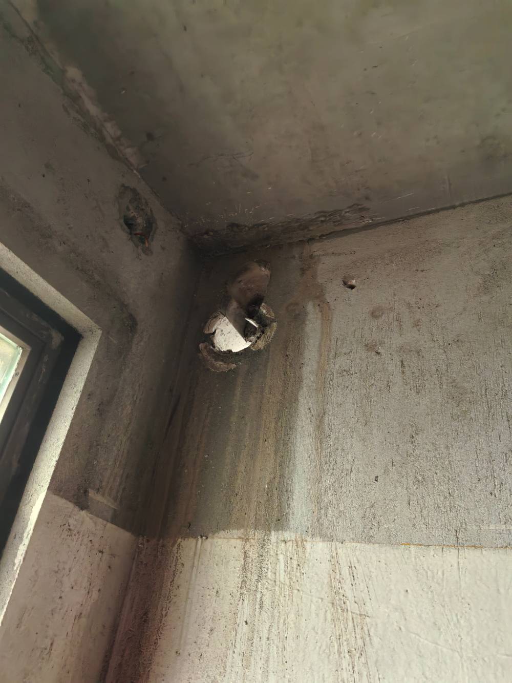 南通雅居乐花园 *-2901 施工照片