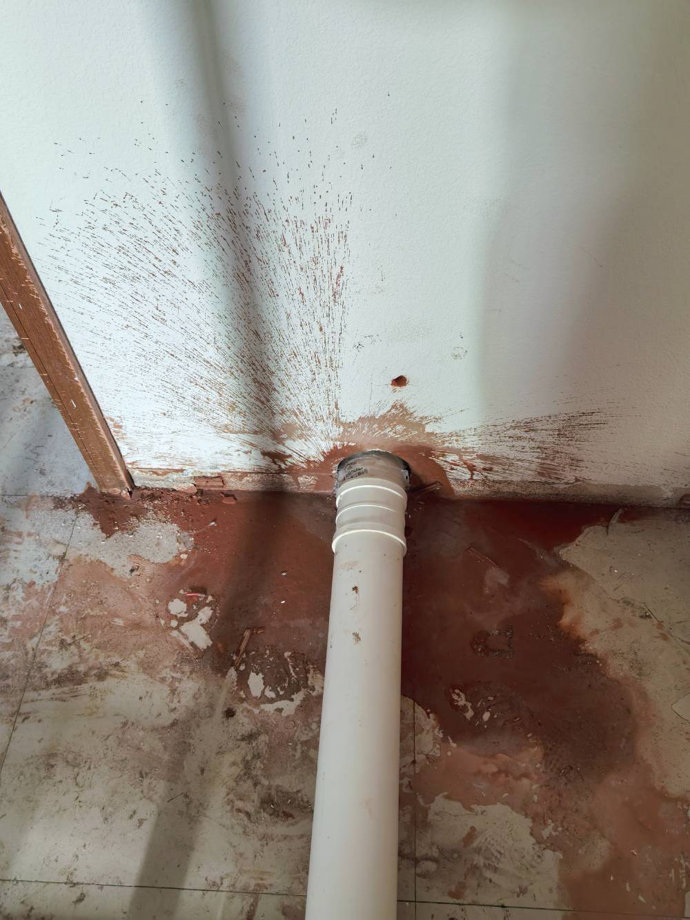 晨苑 1*-604 施工照片