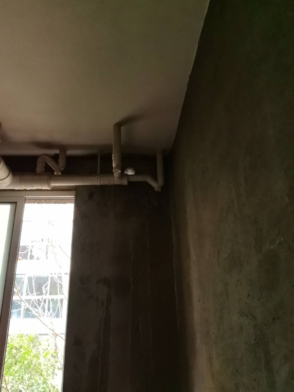 第九园 @ 别墅40-2