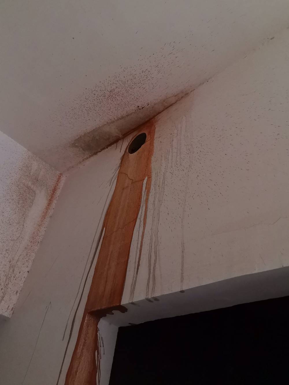 第九园 别墅4*-2 施工照片