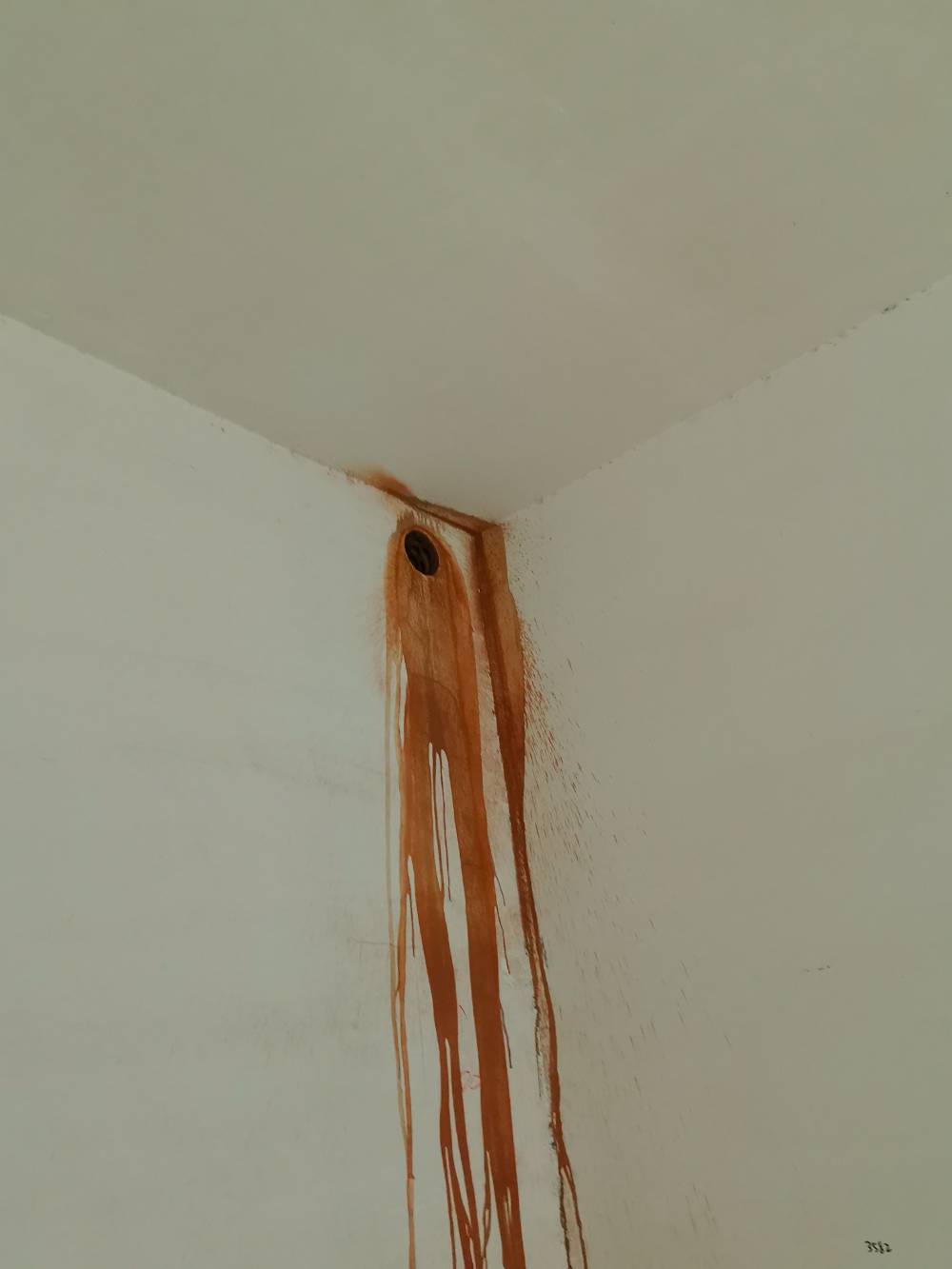 第九园 别墅4*-2 施工照片