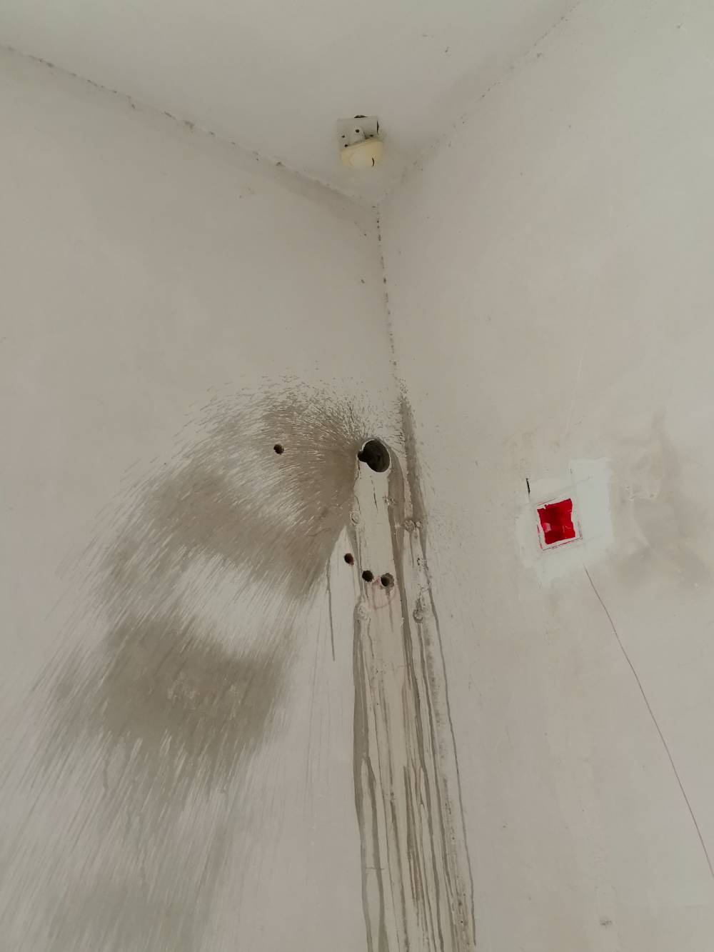 第九园 别墅4*-2 施工照片