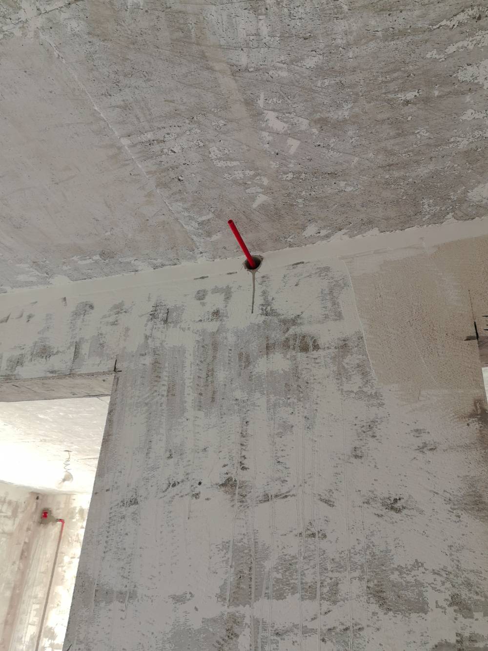 滨江花苑 8*-701 施工照片