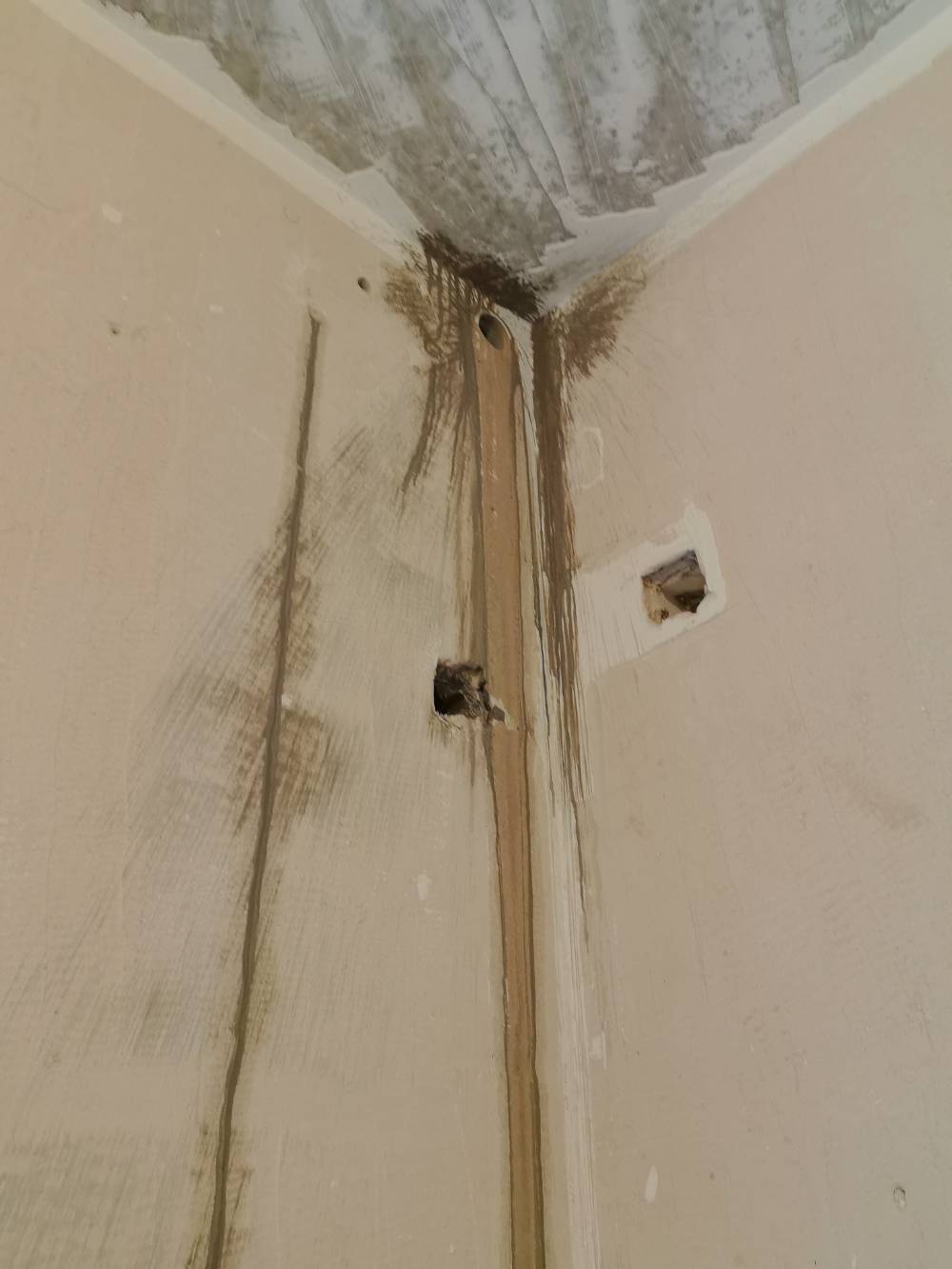 南通世纪之光 2*-106 施工照片