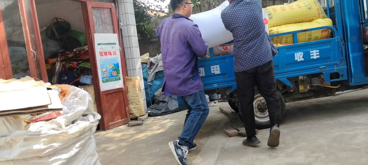 两车小麦六千斤，一老一少共辛劳