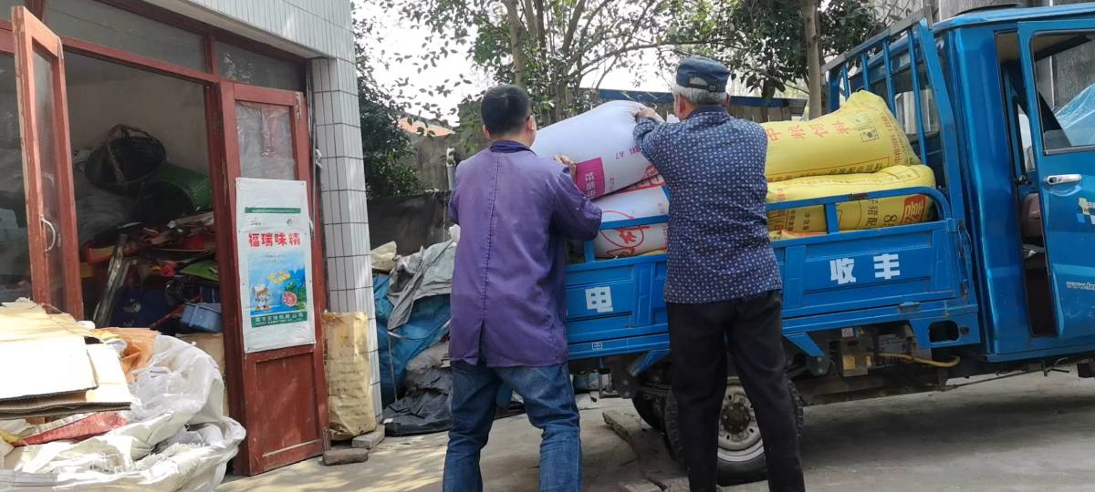 两车小麦六千斤，一老一少共辛劳