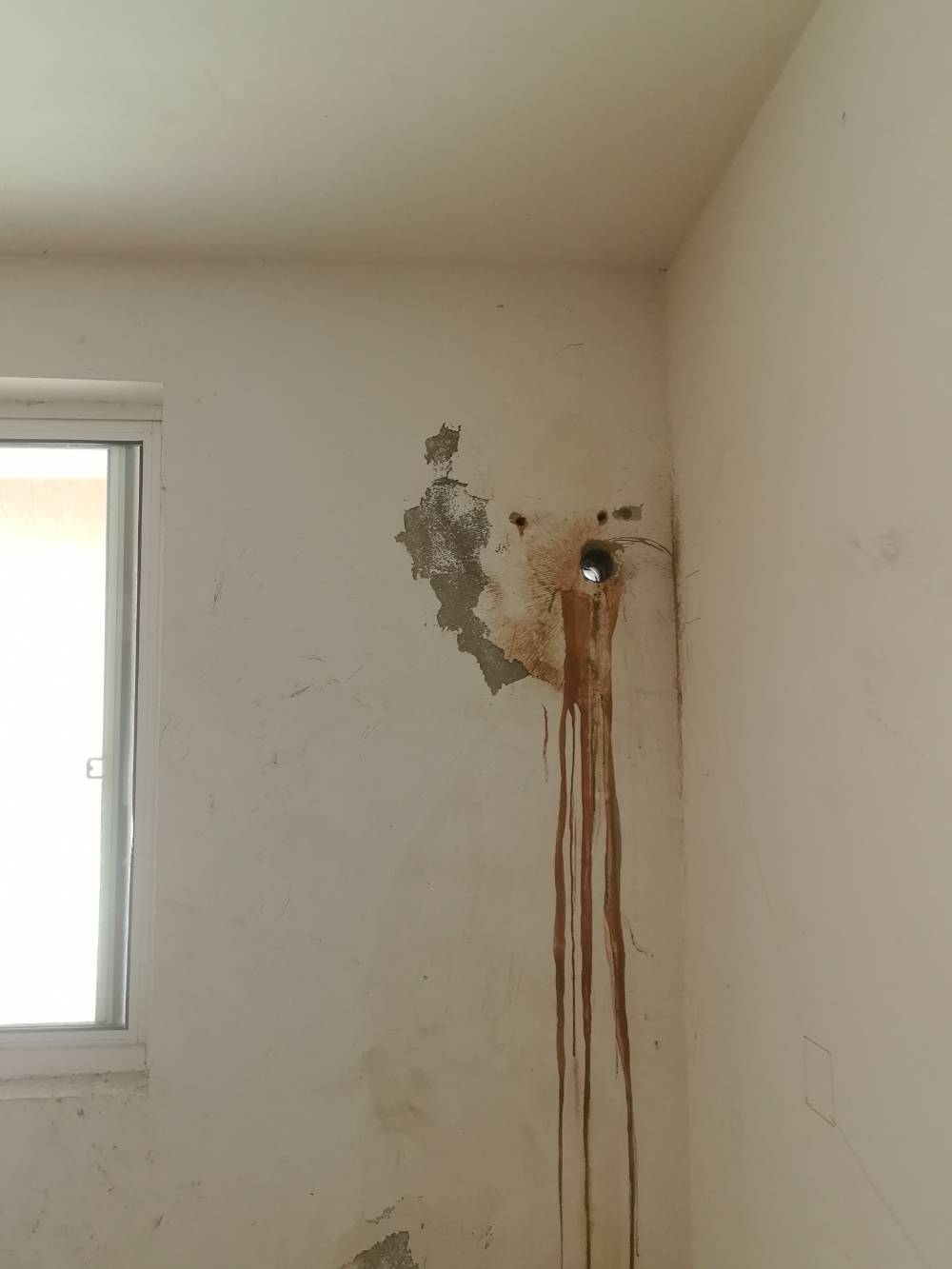 第九园 别墅4*-2 施工照片